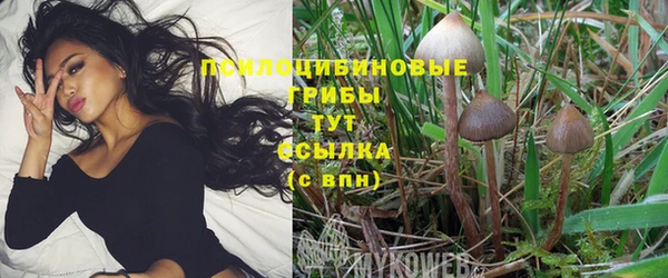 дмт Заволжье