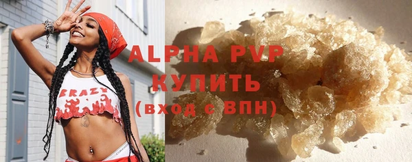 PSILOCYBIN Зеленодольск